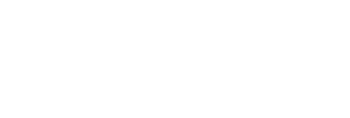 Pulse