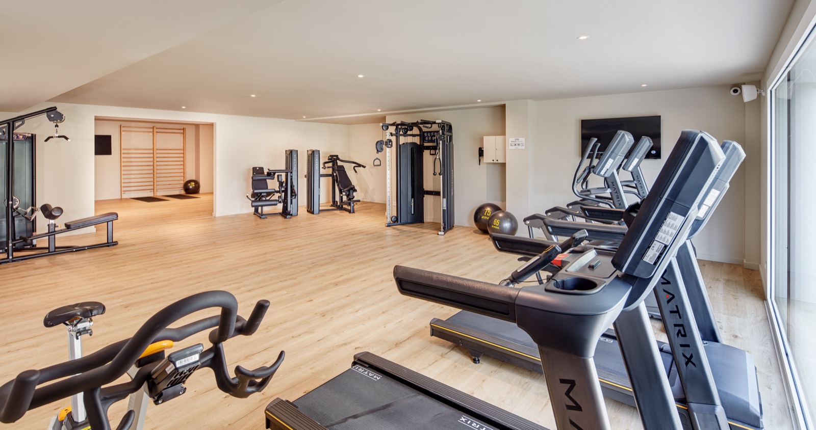 El gimnasio